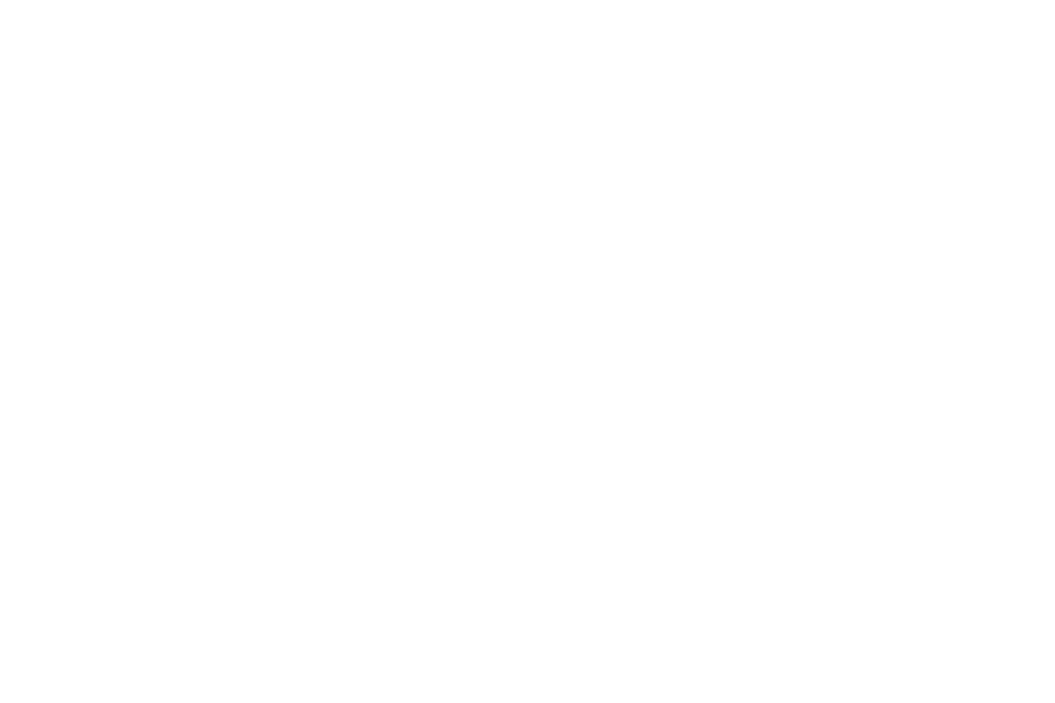 PALEM Systems